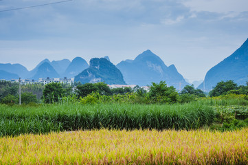 中国股市十大高手排名