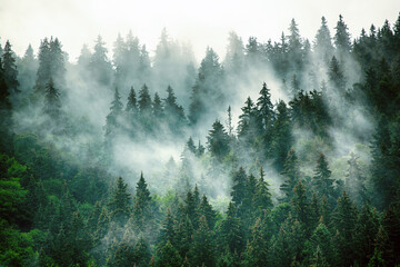 雷凌最新款成交价格最低是多少钱？