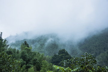 江西高安陶瓷厂